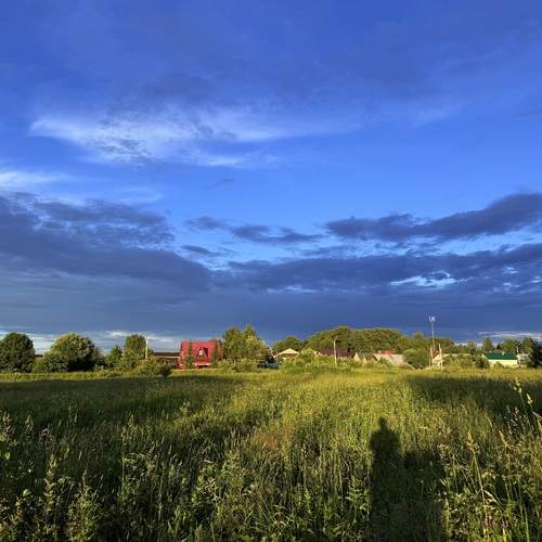 Photo #13752289