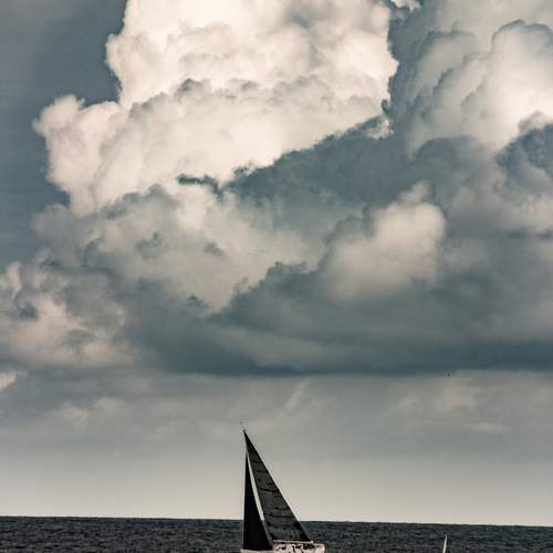 Photo #13752356