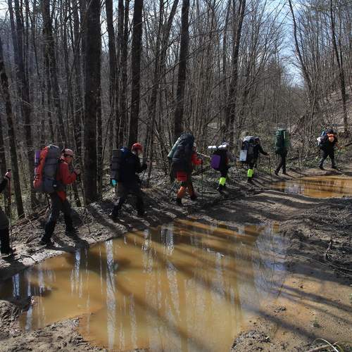 Photo #13752376