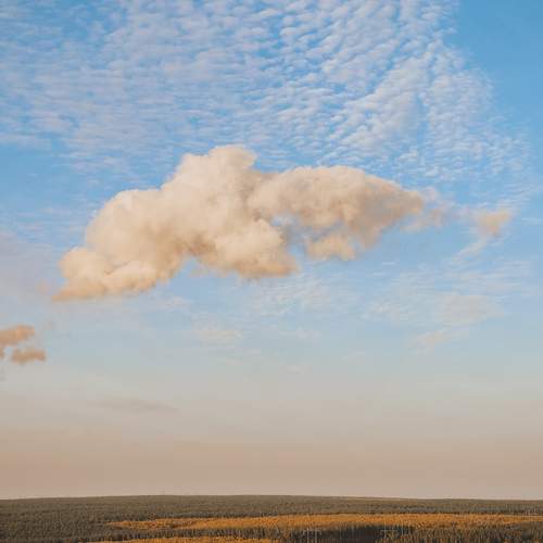 Photo #13752417