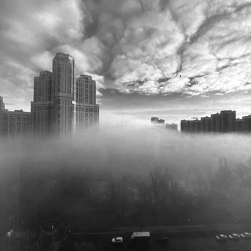 Photo #13752426