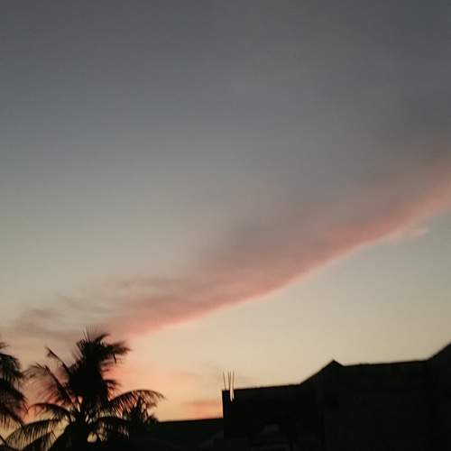 Photo #13752451
