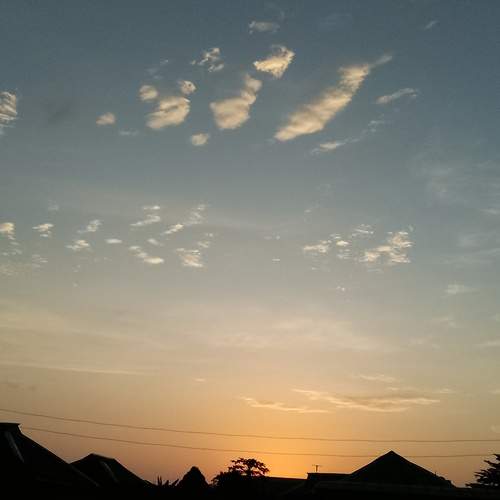 Photo #13752452