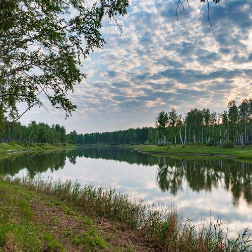 Photo #13752460