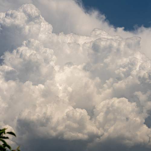 Photo #13752461