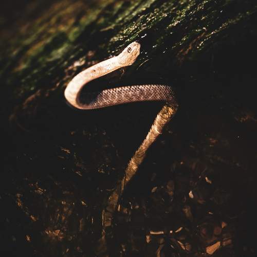 Photo #13752462