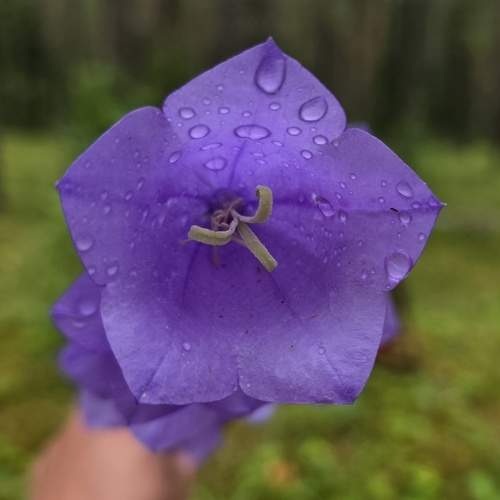 Photo #13752502