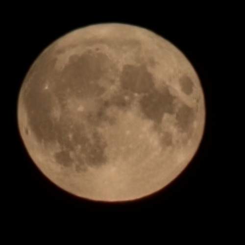 Photo #13752515