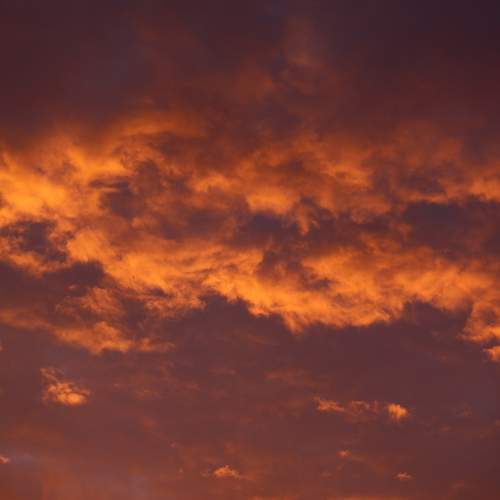 Photo #13752532