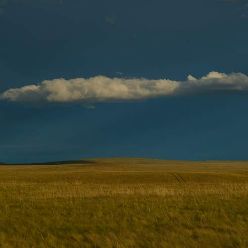 Photo #13752584