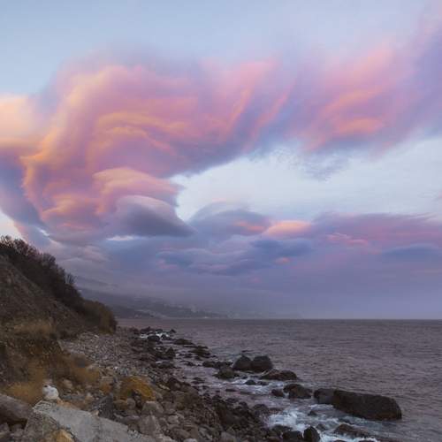 Photo #13752585