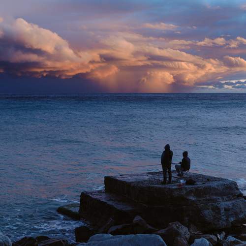 Photo #13752595
