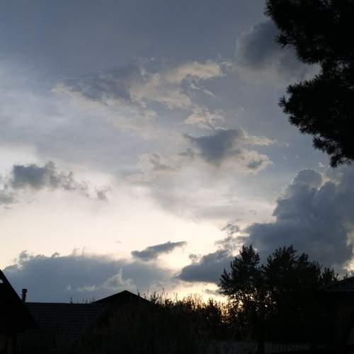 Photo #13752603