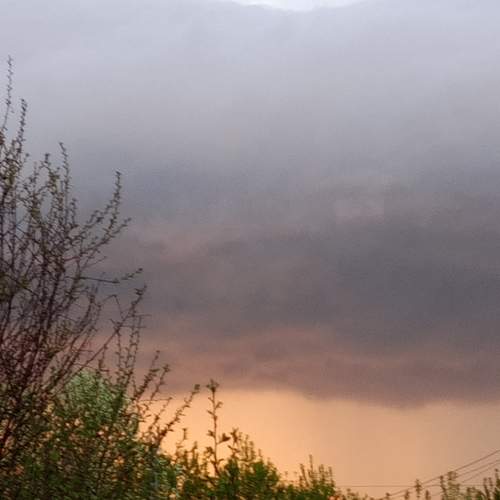 Photo #13752604