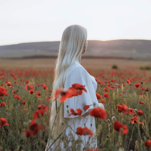 Photo #13752616