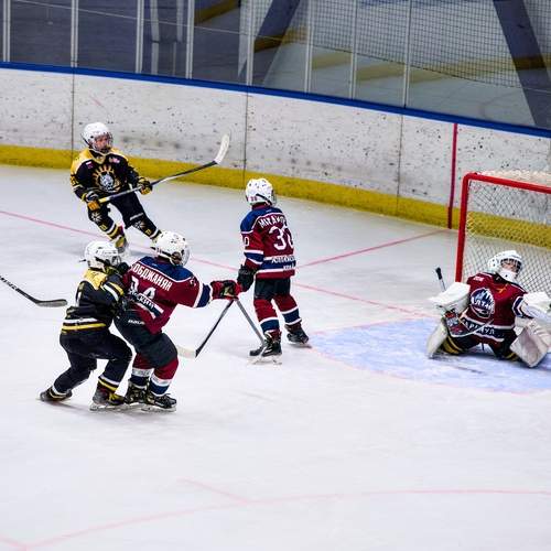 Photo #13752624
