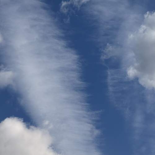 Photo #13752626