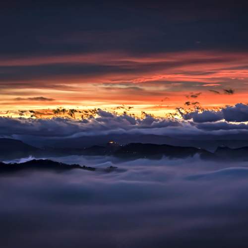 Photo #13752630