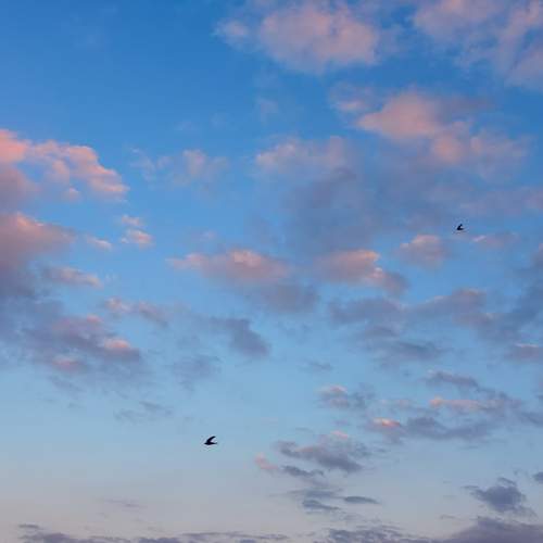 Photo #13752745