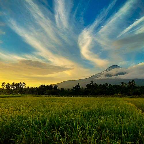 Jejak Senja di Lembah Gunung