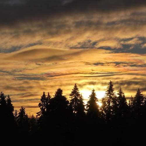 Photo #13752769