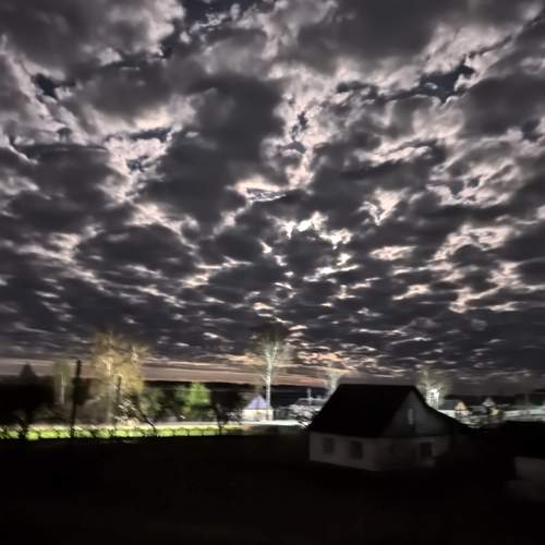 Photo #13752818