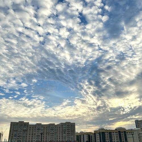 Photo #13752819