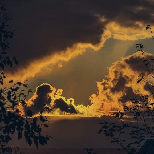 Photo #13752830