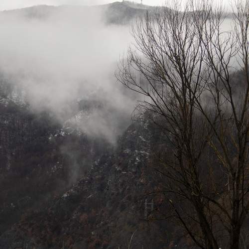 Photo #13752842