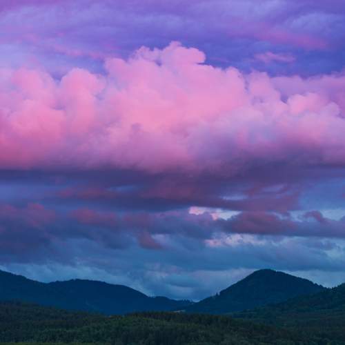 Photo #13752844