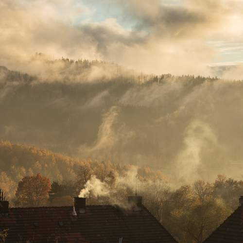 Photo #13752845
