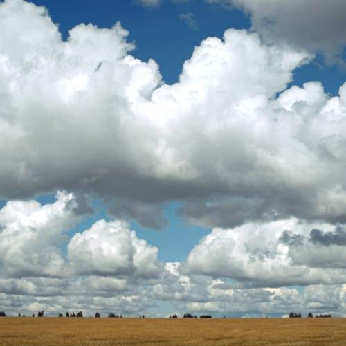 Photo #13752848