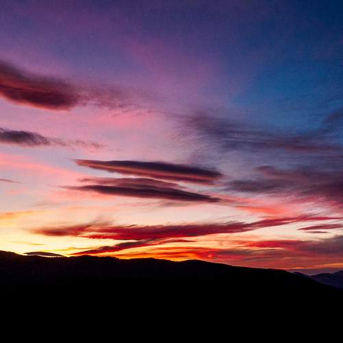Photo #13753006