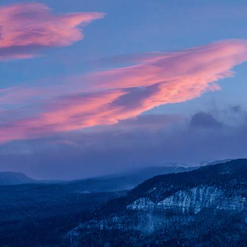 Photo #13753007