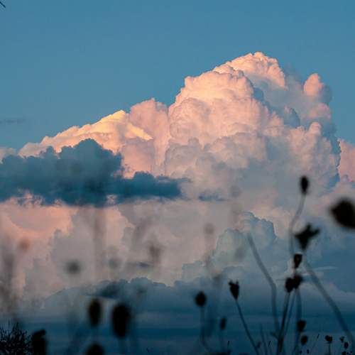 Photo #13753008