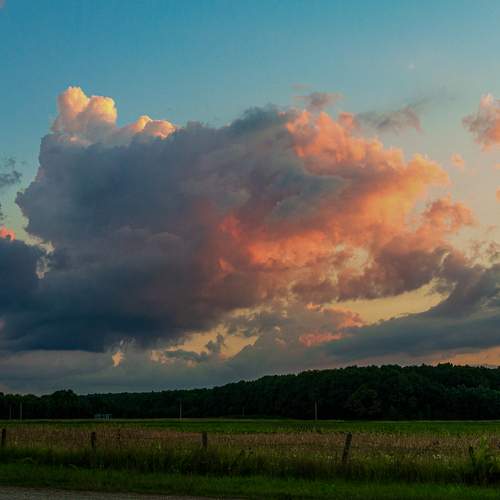 Photo #13753009
