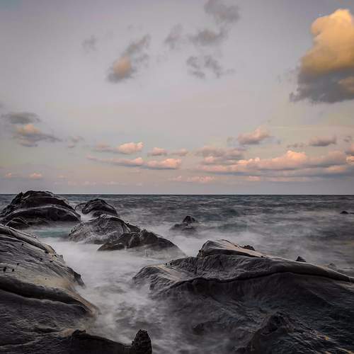 Photo #13753032