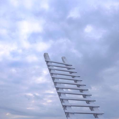 Photo #13753073