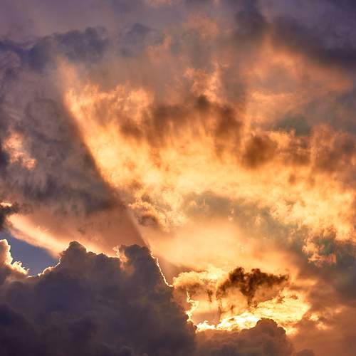 Photo #13753076