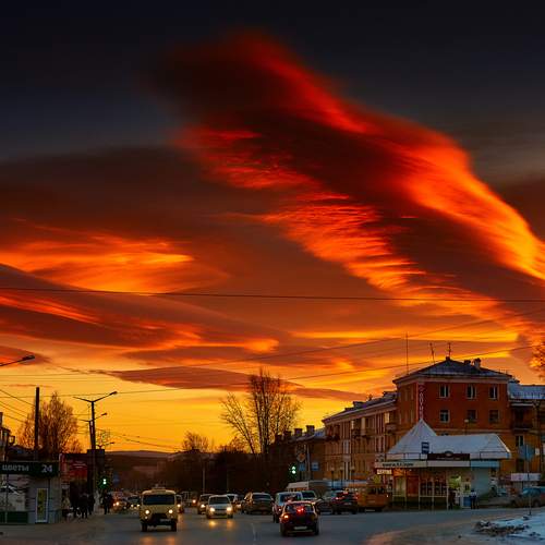 Photo #13753077