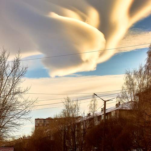 Photo #13753079