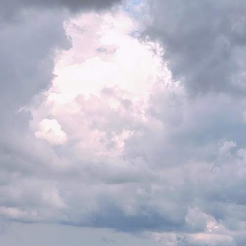 Photo #13753246