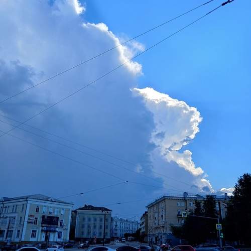 Photo #13753325
