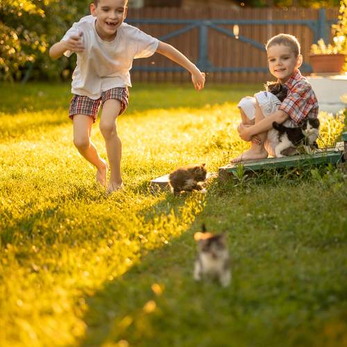 Photo #13753335