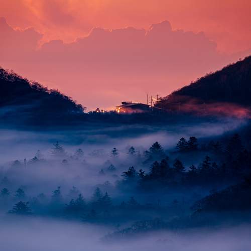 Photo #13753344