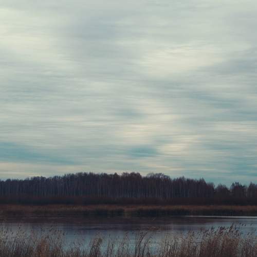 Photo #13753352