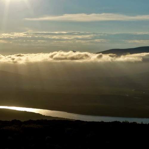 Photo #13753368