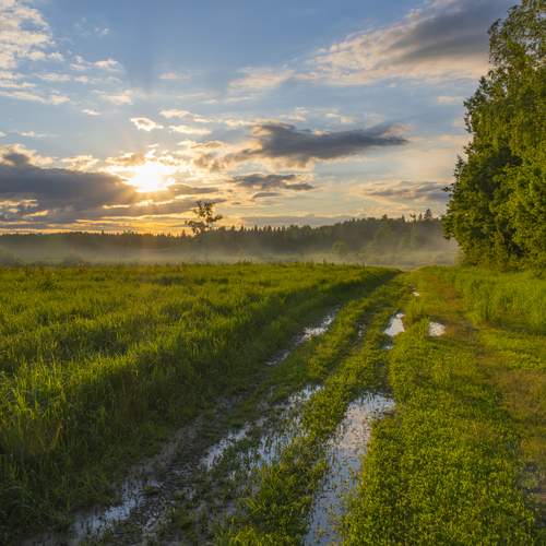 Photo #13753373