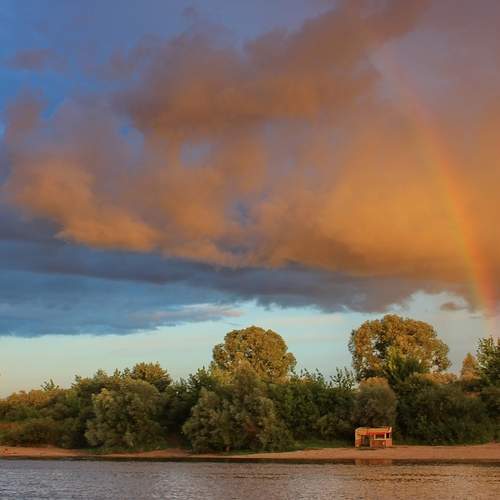 Photo #13753417
