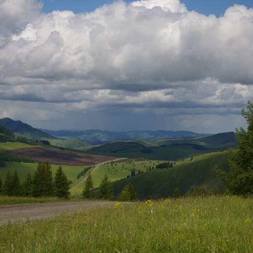 Photo #13753437